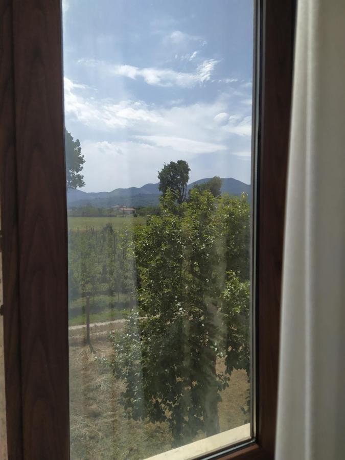 Agriturismo Il Casale Del Cavaliere Сант-Агата-де-Готи Экстерьер фото